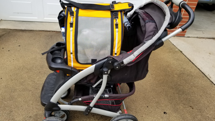 This is “parrot in stroller.” People sure can’t guess there would be a parrot inside.