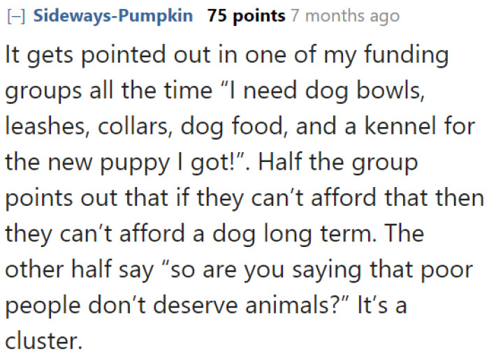 Some people would even gang up on the person who points out the expenses involved when owning a cat.