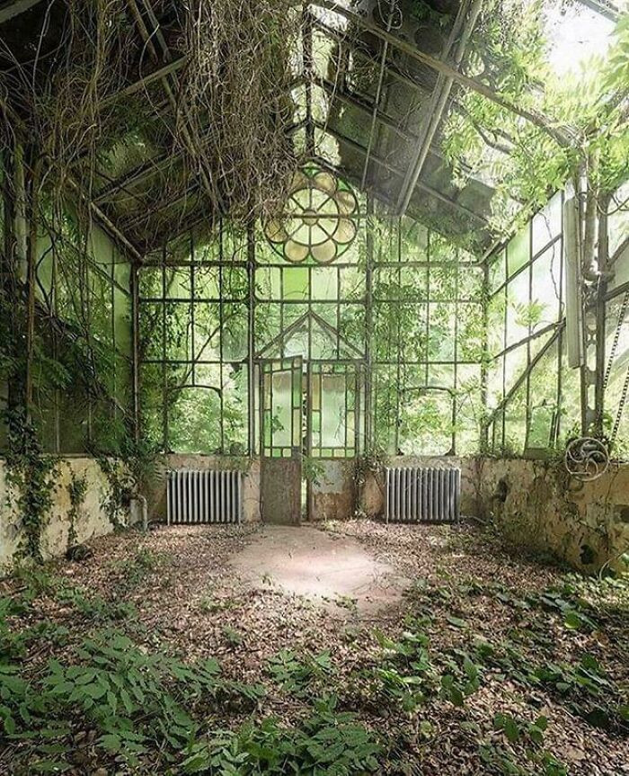 Abandoned Greenhouse, Italy