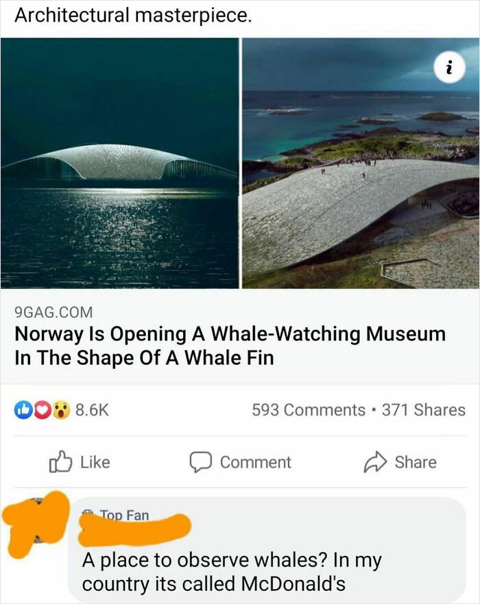 10. Whale watching museum