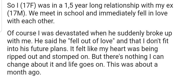 OP Felt Devastated After Her Boyfriend Ended Their Relationship