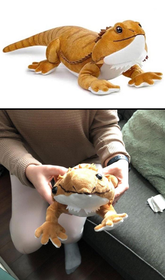 41. My Mum Ordered This Online