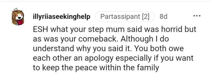 This Redditor says that both the OP and her stepmom owe each other an apology