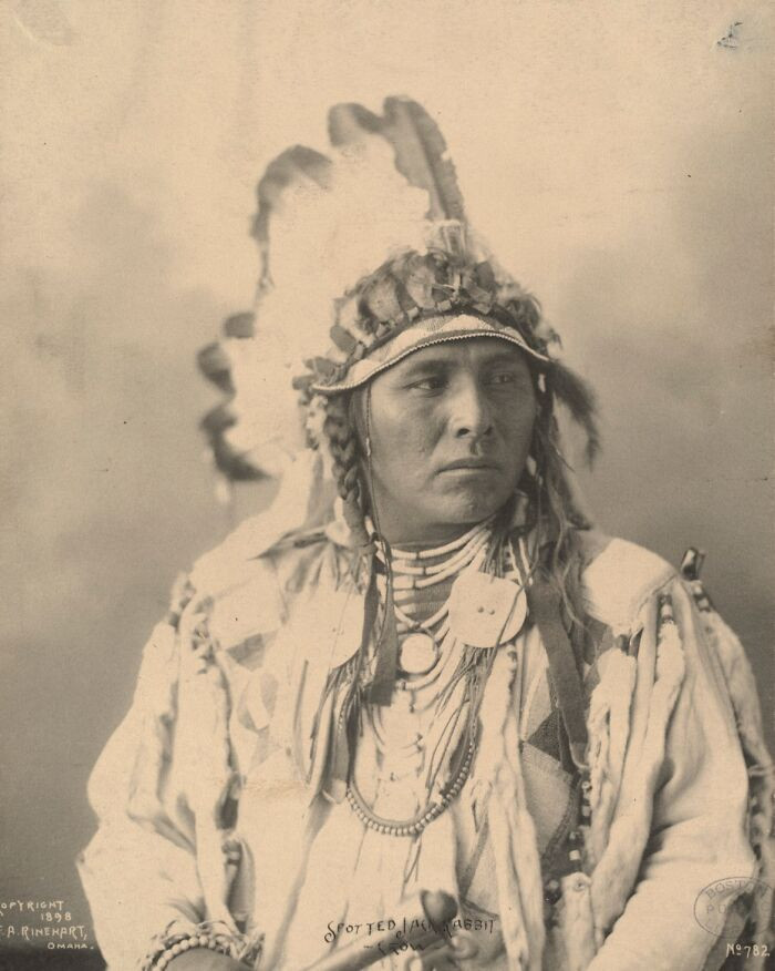 Spotted Jack Rabbit, Crow, 1898