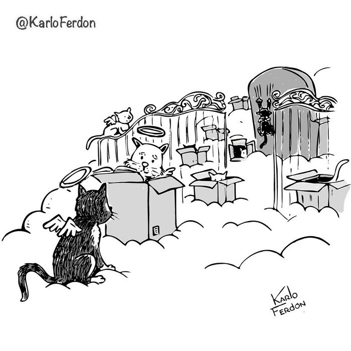 14. Cat heaven