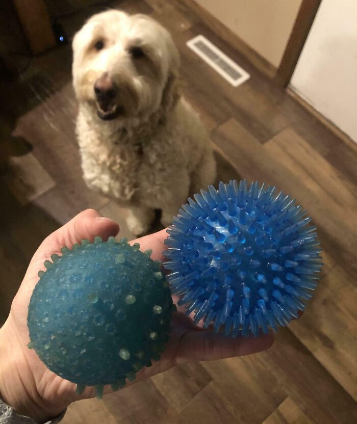 "Same Ball, 3 Years Of Play Difference"