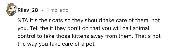 “NTA. It's Their Cats, So They Should Take Care of Them, Not You.”