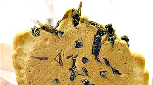 3. Wasp Crackers