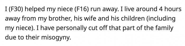OP knows she can provide a safe space for her niece, but she admits she let her emotions dictate her actions. Is OP an a**hole for helping her niece run away?