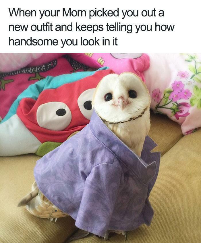 "Maybe I Am Handsome"