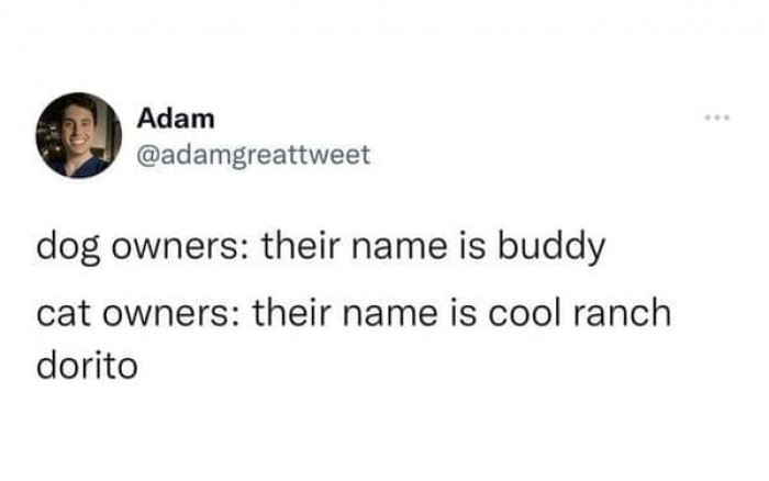 46. Dog owners versus cat owners