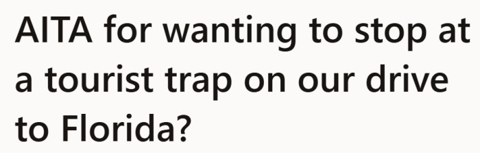 With a 19-hour drive ahead and a visit to his parents on the horizon, the couple started talking about what the trip might look like.