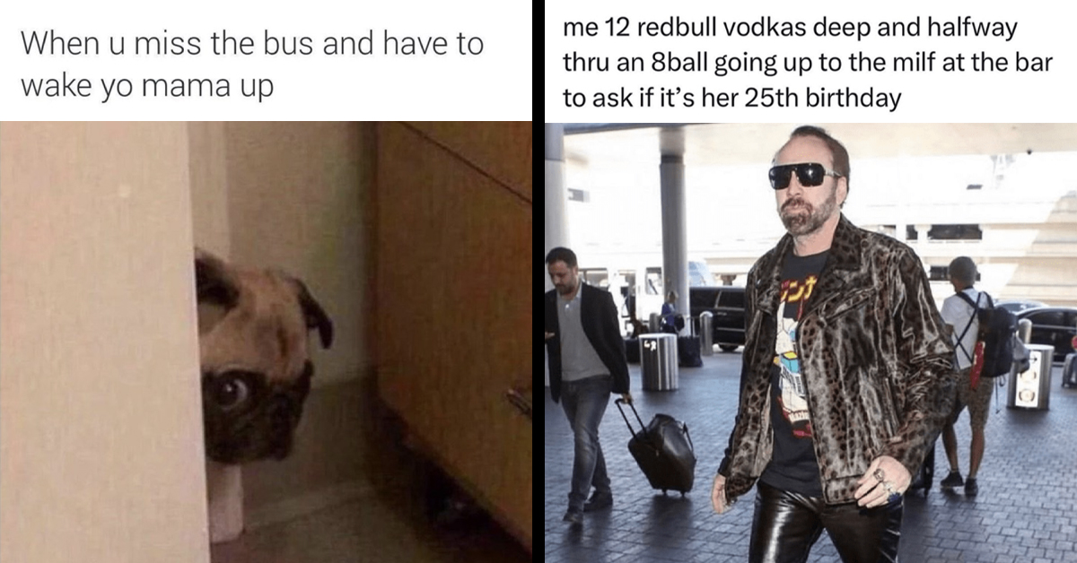 Meme Buffet With 30+ Curated Laughs For Today's Digital Diners