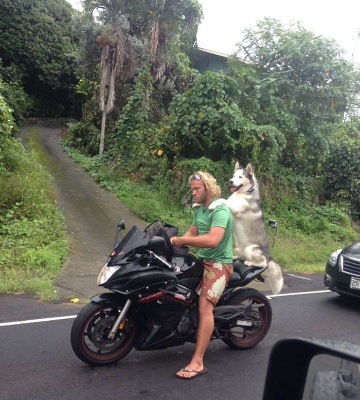 "My Mom Sent Me This Picture From Hawaii"