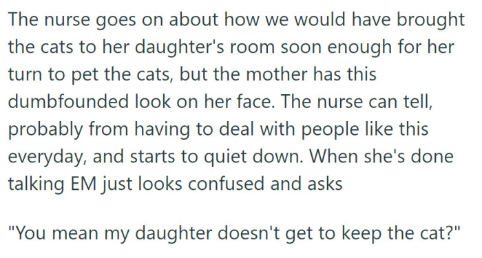 The nurse explained the visiting schedule, but the mother seemed confused and wondered if her daughter could keep the cat.