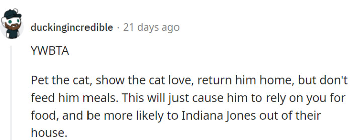 Return the cat home, just so there won't be any problems, OP.