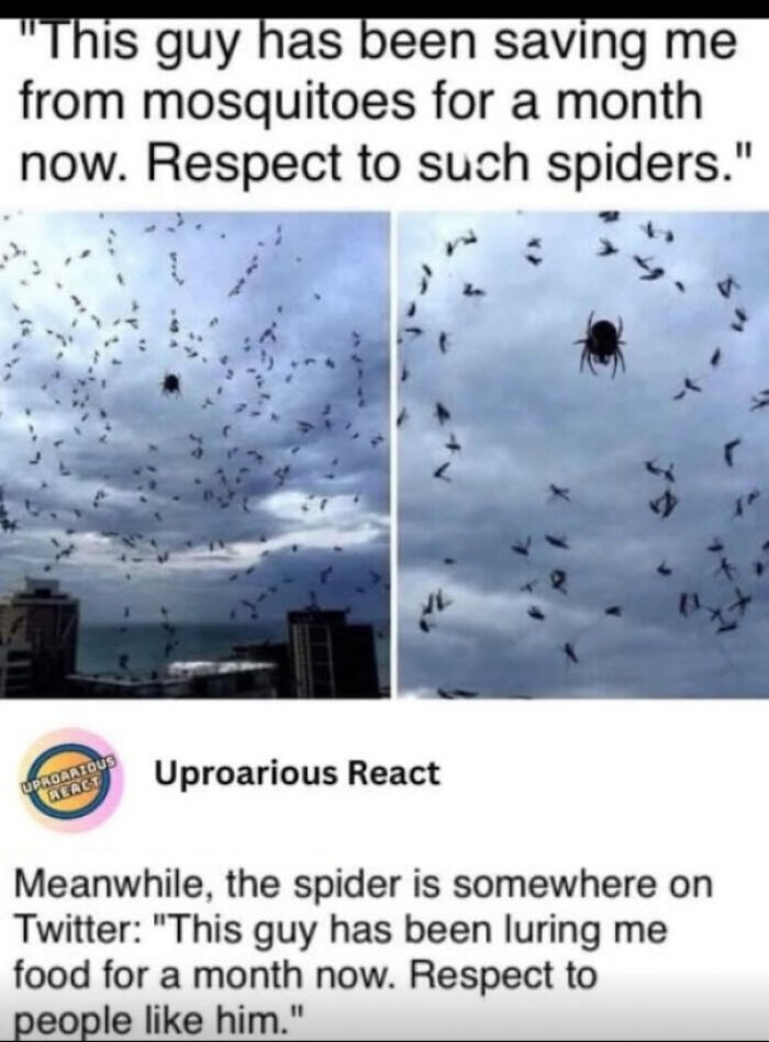 "Mutual Respect Is Important"