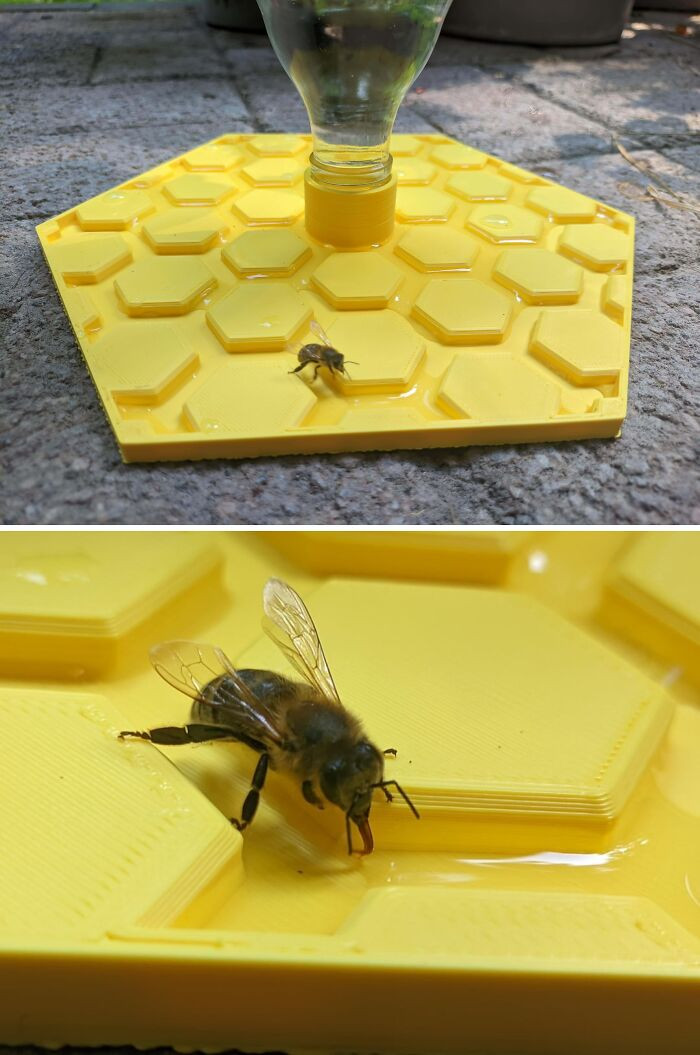 "Printed An Insect Water Station For Some Thirsty Boys In Europe; Had My First Visitor After A Few Minutes"