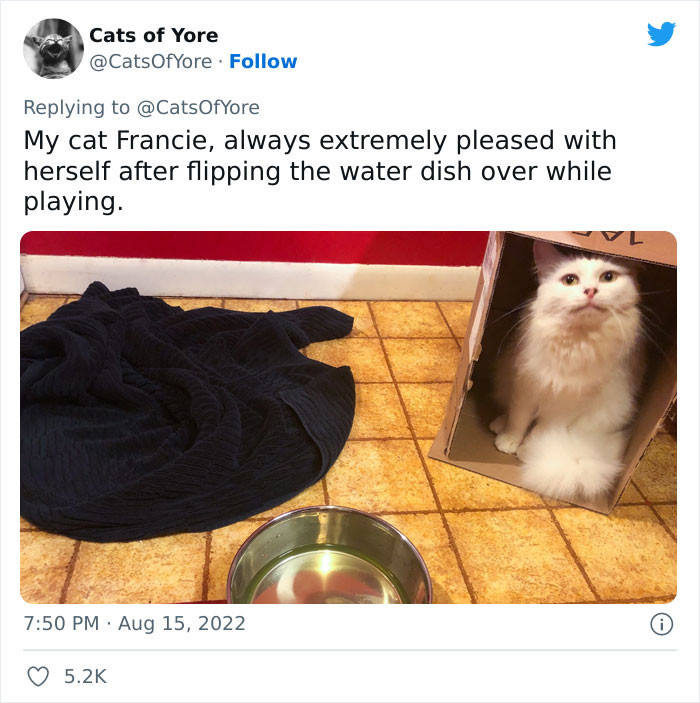 23. The mission succeeded