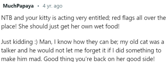 When Kitty Demands Wet Food and Makes Her Feelings Known.