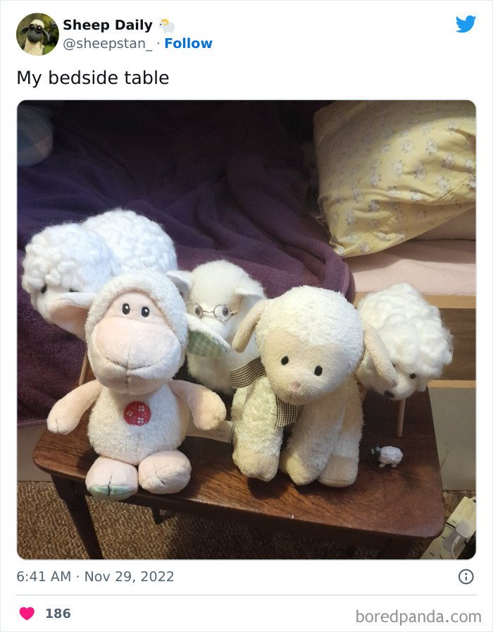 23. They are all waiting for their owner to sleep