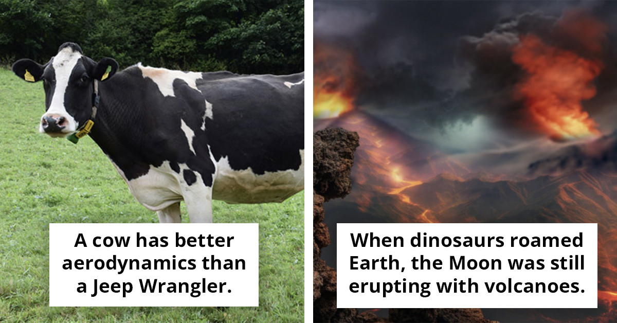 Odd Facts You Didn’t Know You Needed