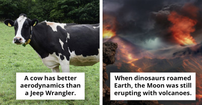 Odd Facts You Didn’t Know You Needed