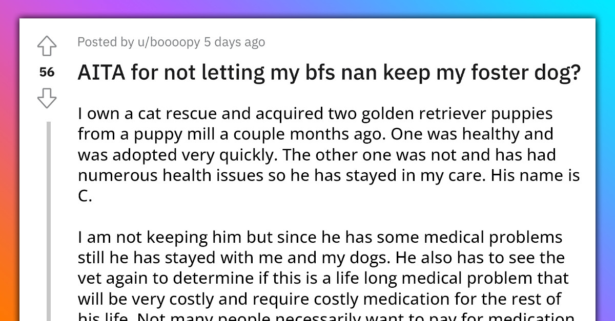 Redditor Leaves Dog With Boyfriend's Family Before Going On A Trip, Now They're Refusing To Give The Pup Back