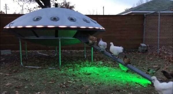 3. “This UFO Chicken Coop”