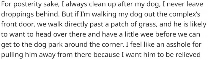OP always cleans up after their dog, but lets it pee on the grass in front of the building