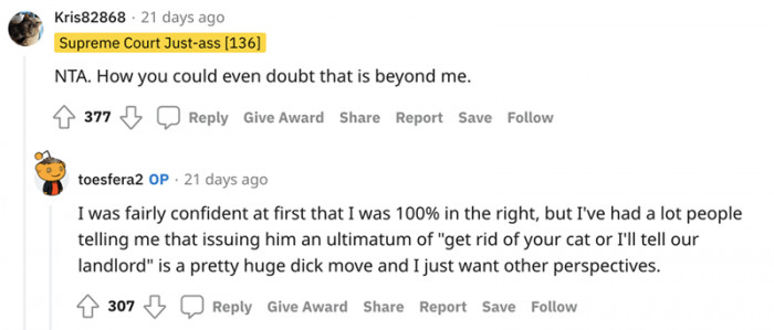 Get rid of your cat or I'll tell the landlord