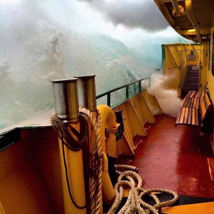 "Manly Ferry This Morning"