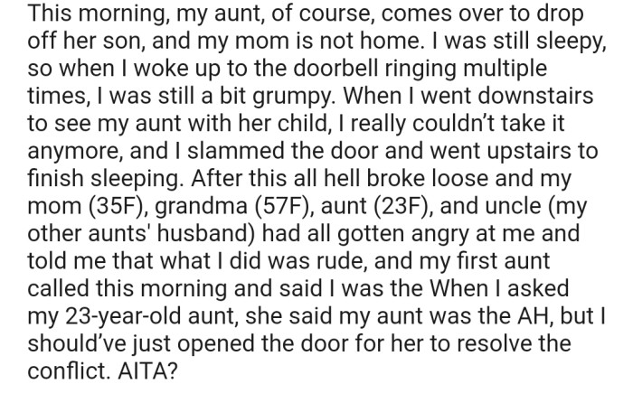 Well, OP's aunt attempted another surprise drop-off early in the morning. This time, she had the door slammed in her face. However, OP's family isn't happy with her for being so rude.
