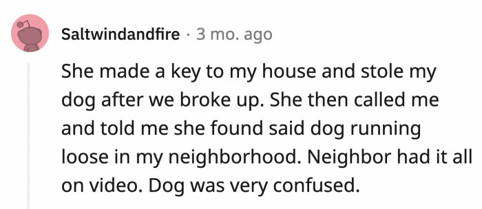 1. The dog is not the only one confused—what?