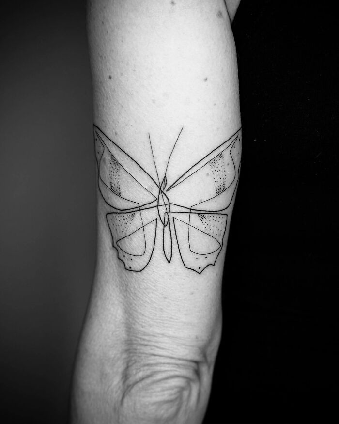 21. The butterfly