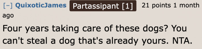 Redditors believe that the dogs are already the OP's dogs the moment their sister gave the dogs up.