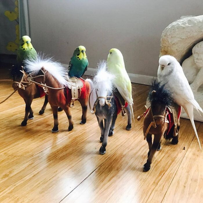"If Your Squad Is Going To 'The Party Of The Year' You Better Arrive In Style"