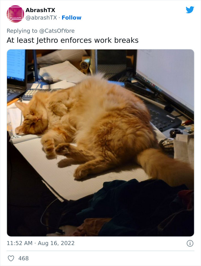 18. He uses it wisely