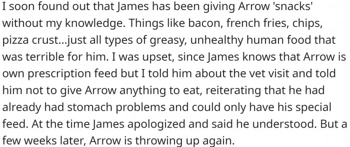 , the vet told him that his condition had been exacerbated by the change in his diet. OP was confused since he wasn't feeding Arrow anything but his prescription food. But James did.