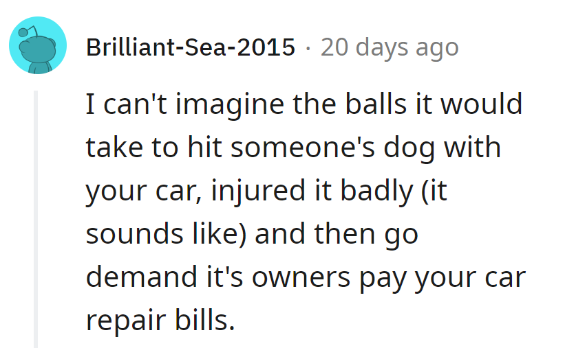 Impressed by the sheer audacity to hit a dog, then demand the owner foots the car repair bill. That's some bold driving drama.