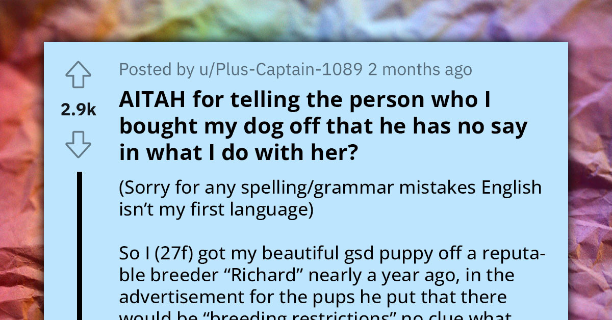 Dog Mom Refuses to Give Breeding Rights to the Breeder She Purchased Her Dog From, Faces Accusations of Contract Breach