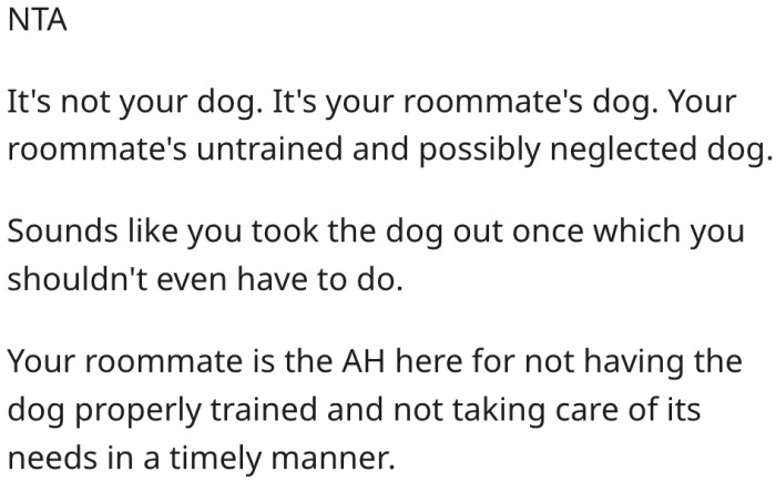 2. He's not obligated to take the dog out for walks.