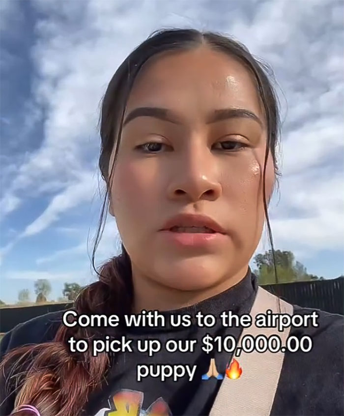 Yohana went viral when she disclosed that she had purchased a Velvet Frenchie for $10,000