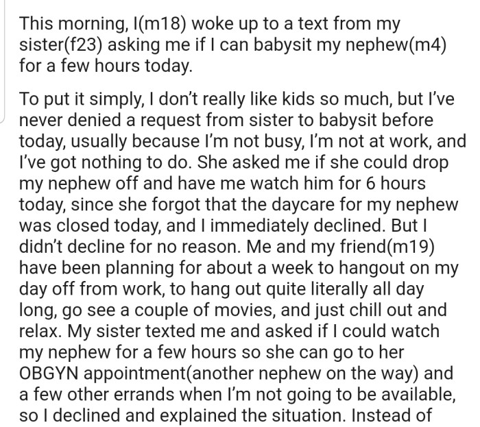 OP's sister asked if he could babysit his nephew for a few hours. Interestingly, he declined due to some personal plans scheduled later in the day.