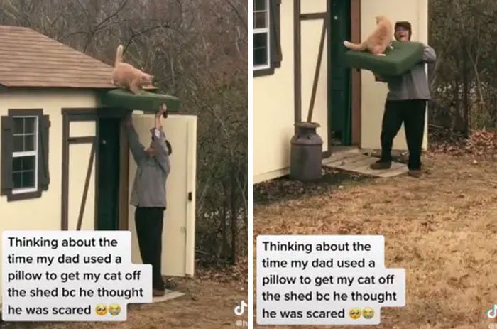 21. There you go, boy