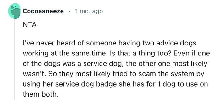 “NTA  I've never heard of someone having two advice dogs working at the same time.“