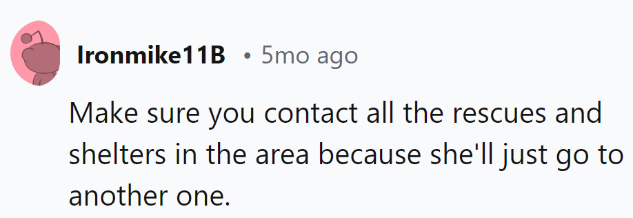 Spread the word like catnip! With her track record, she's bound to keep prowling around shelters.