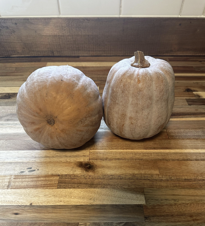 8. Winter Squash - a whole fresh squash stays fresh in a cool, dry place away from sunlight.