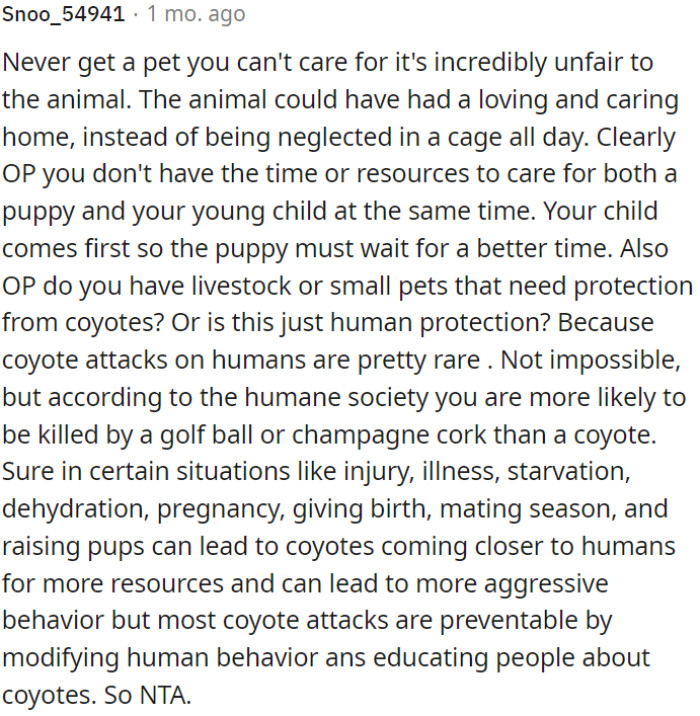 OP shouldn't adopt a pet she can't properly care for; it's unfair to the animal.