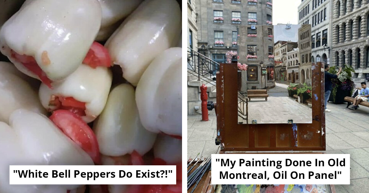 95 Pictures That Might Make You Look Twice